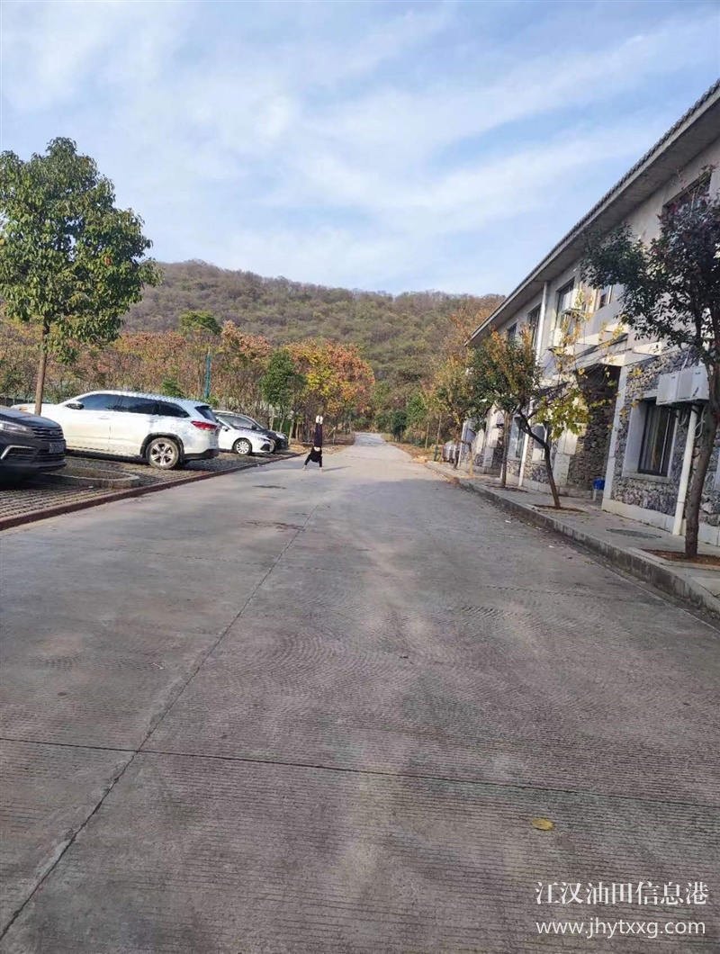 變成高富帥幾種必要條件，傳說武漢公司周邊團建有訣竅