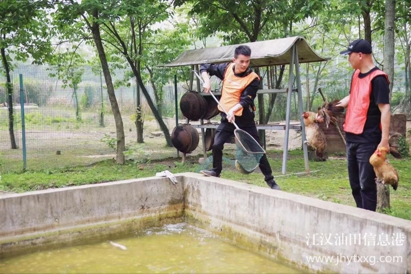 武漢公司團建一天的流程公開，玩法多多亮點多多性價比高
