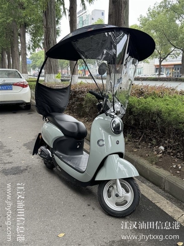 出二手電動車