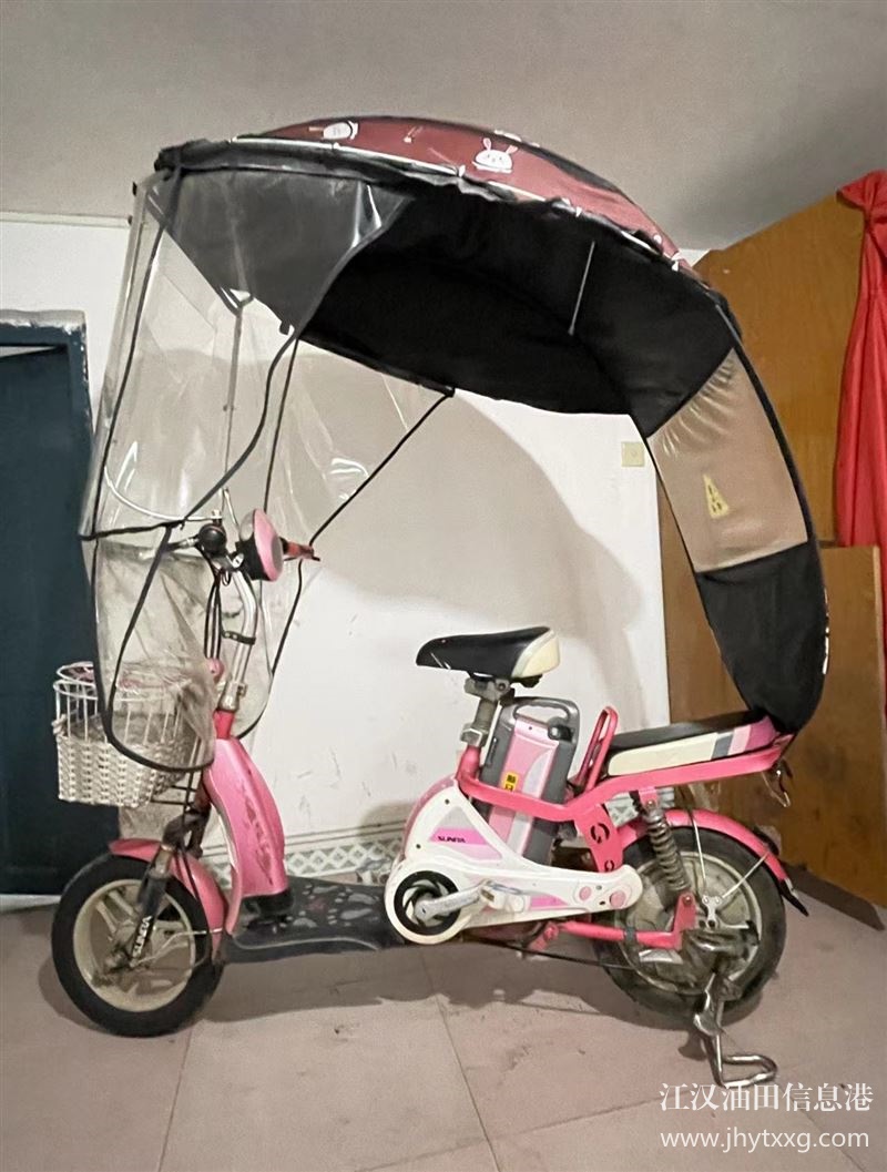 出售電動(dòng)車(chē)